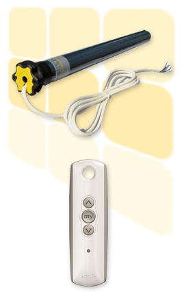 Motor Somfy y Emisor telis 1